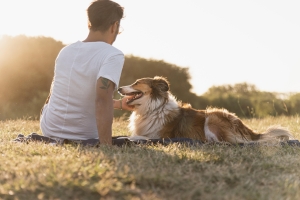 cuál es la edad adecuada para esterilizar a tu perro